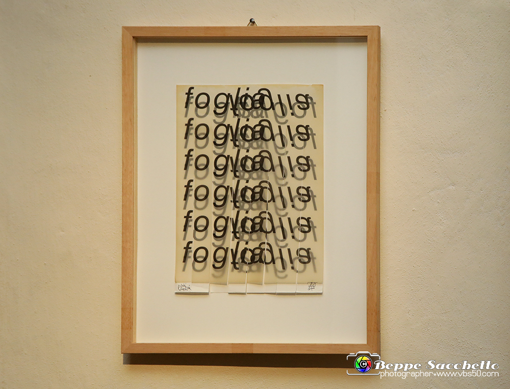 VBS_1208 - Castello di Miradolo - Mostra Oltre il giardino l'Abbecedario di paolo Pejrone.jpg